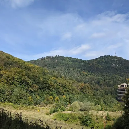 Tampa Mountain Nature Hideaway - Luxury * Brasov